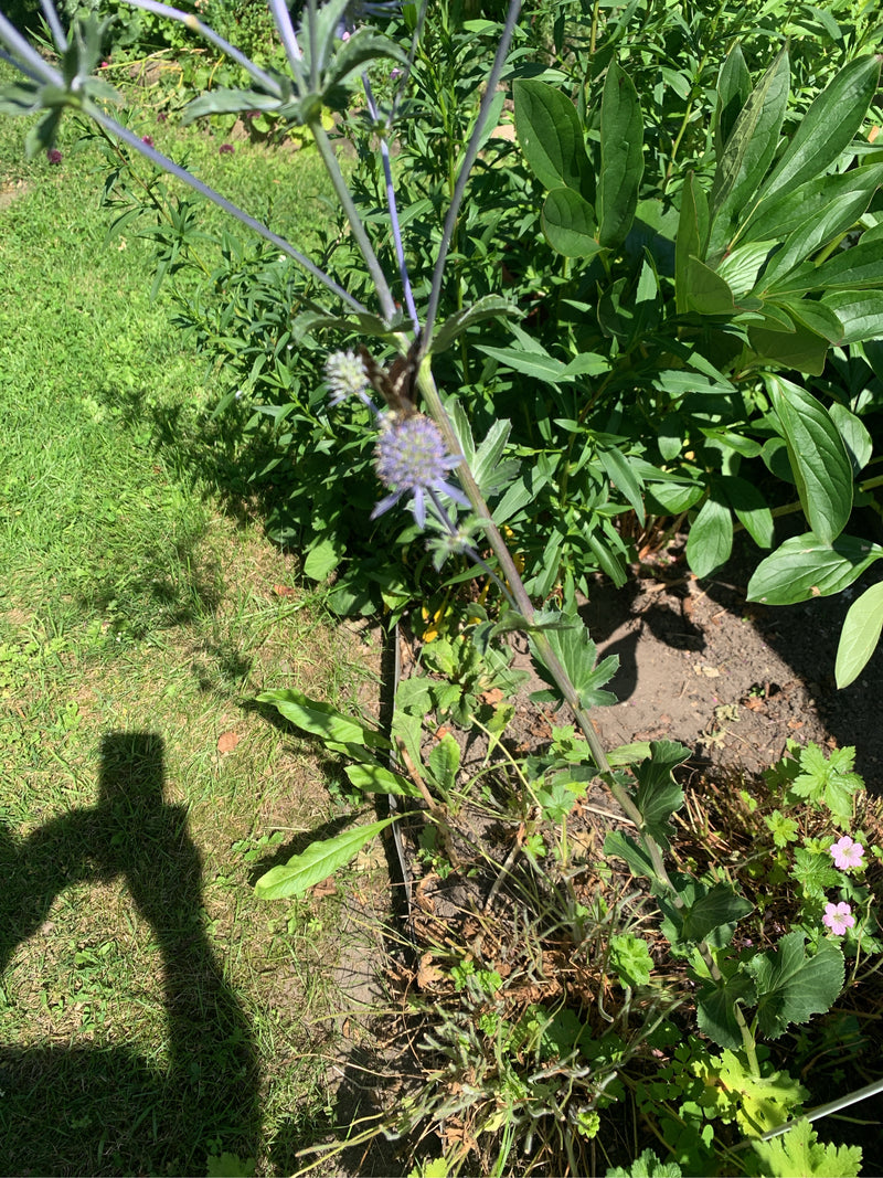 Schornsteinfeger — Bild 2