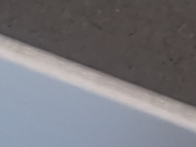 Schwarzgraue Wegameise — Bild 3