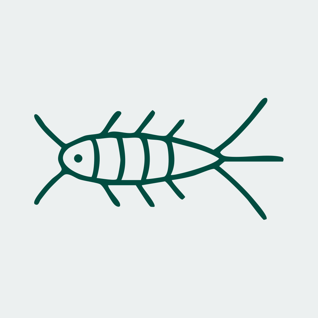 Silberfische
