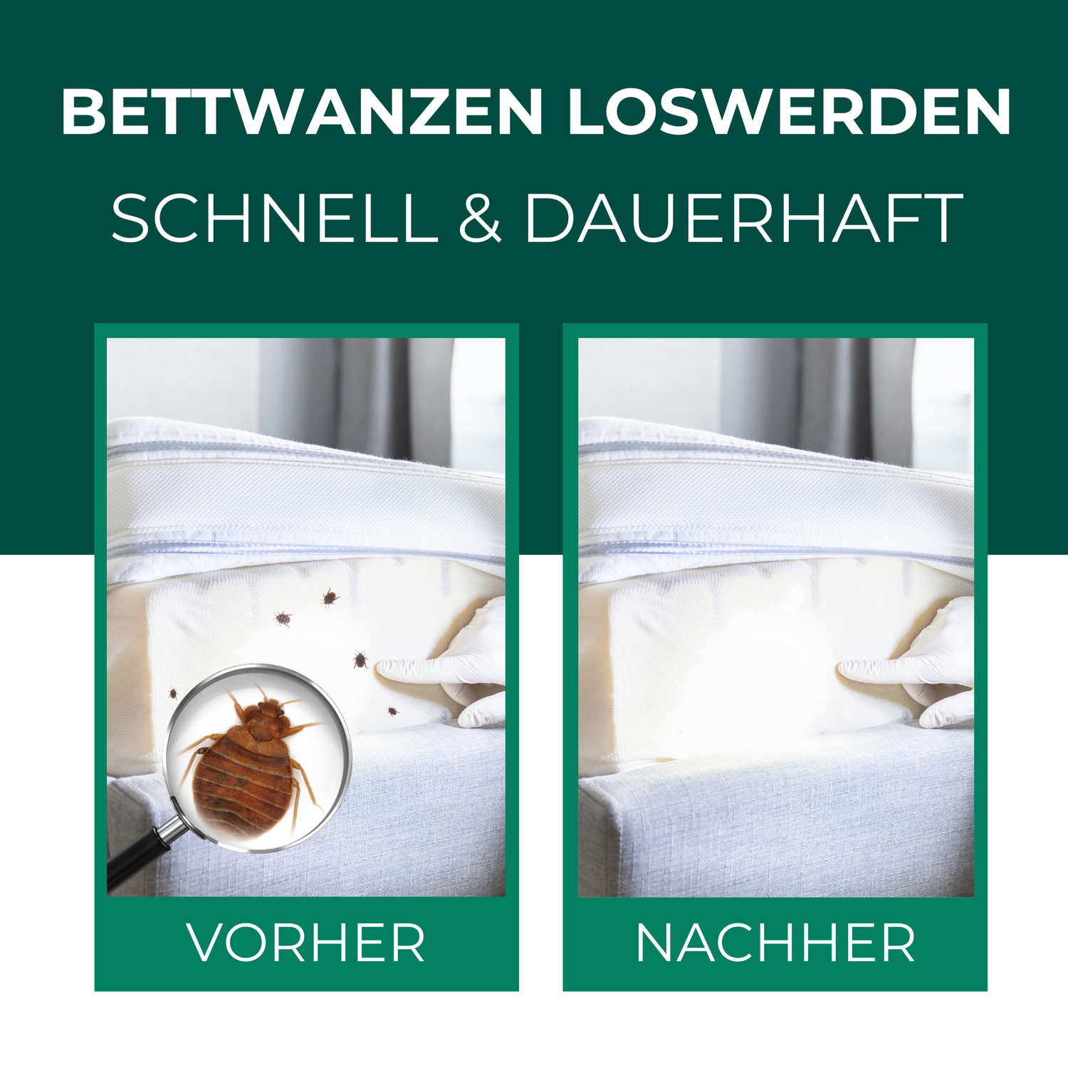 bettwanzen im schlafsack Anti Bettwanzen Bettwanzenspray ✔️ Mittel gegen Bettwanzen SILBERKRAFT — Silberkraft