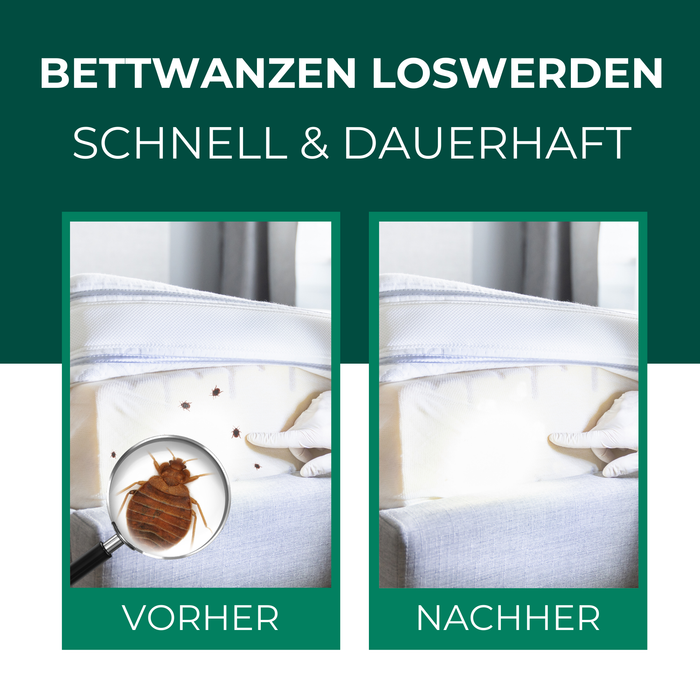 bettwanzen schutz schlafsack Anti Bettwanzen Bettwanzenspray ✔️ Mittel gegen Bettwanzen SILBERKRAFT — Silberkraft