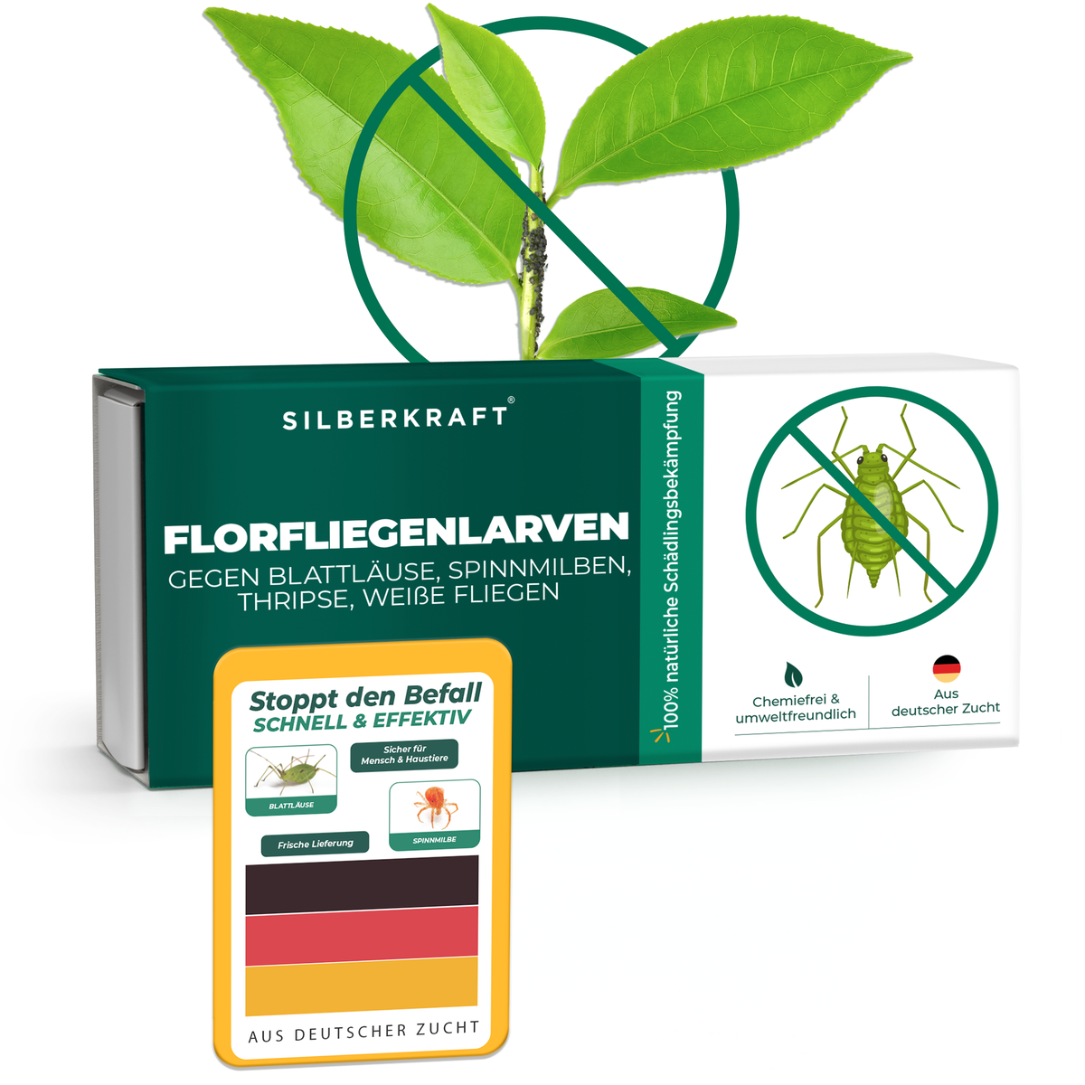 Florfliegenlarven kaufen - Florfliegen Nützlinge bestellen