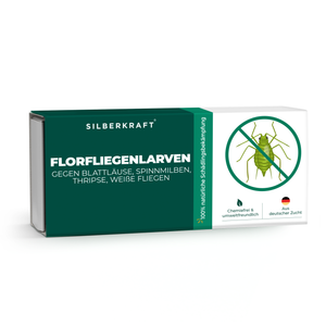Florfliegenlarven gegen Blattläuse, Spinnmilben, Thripse, weiße Fliegen - Silberkraft