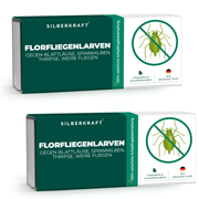 Florfliegenlarven gegen Blattläuse, Spinnmilben, Thripse, weiße Fliegen