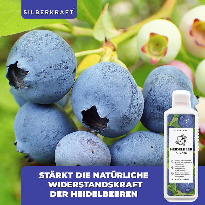 Heidelbeer Dünger - Mineralischer NPK Flüssigdünger mit Stickstoff - Dünger für Heidelbeeren - Blaubeer Dünger - Beerendünger