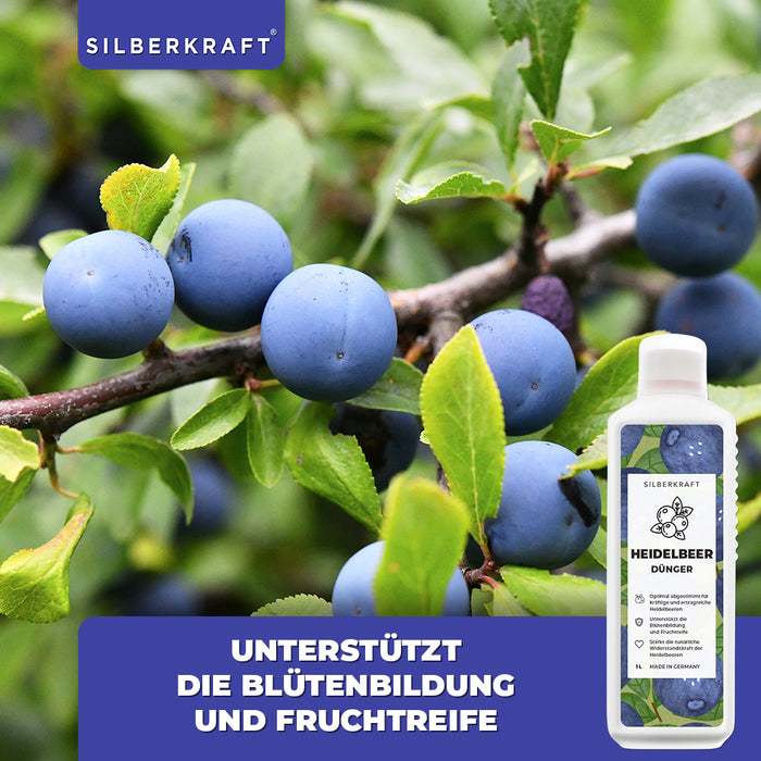 Heidelbeer Dünger - Mineralischer NPK Flüssigdünger mit Stickstoff - Dünger für Heidelbeeren - Blaubeer Dünger - Beerendünger