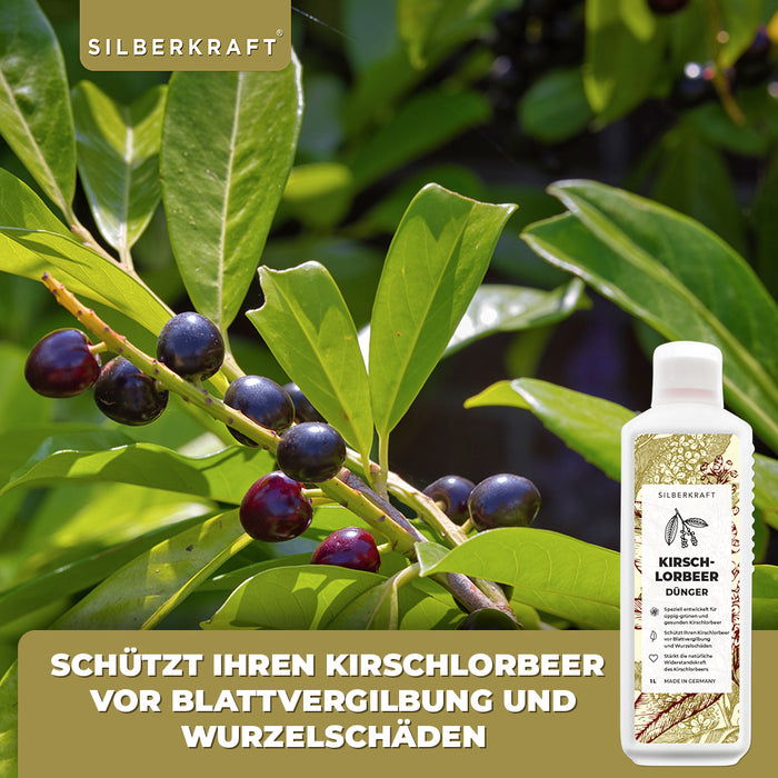Kirschlorbeer Dünger