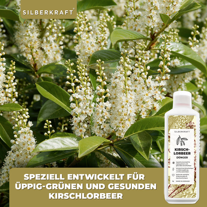 Kirschlorbeer Dünger