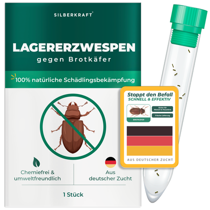 Lagererzwespen gegen Brotkäfer, Tabakkäfer, Kugelkäfer, Messingkäfer - Silberkraft