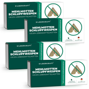 Mehlmottenschlupfwespen - Schlupfwespen gegen Mehlmotten