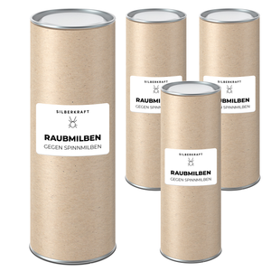 Raubmilben gegen Spinnmilben an Grünpflanzen - Silberkraft