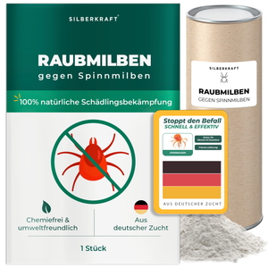 Raubmilben gegen Spinnmilben an Grünpflanzen - Silberkraft