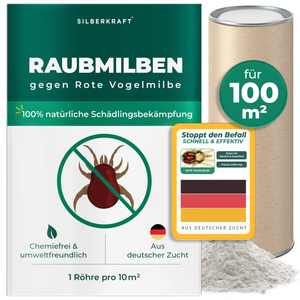 Raubmilben gegen Rote Vogelmilben