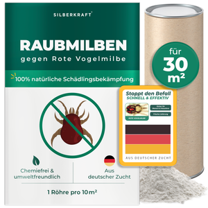 Raubmilben gegen Rote Vogelmilben