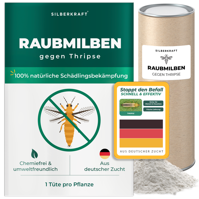 Raubmilben gegen Thripse - Silberkraft