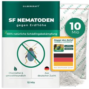 SF Nematoden gegen Erdflöhe