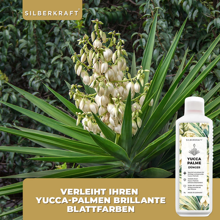 Yucca Dünger - Mineralischer NPK Flüssigdünger mit Stickstoff