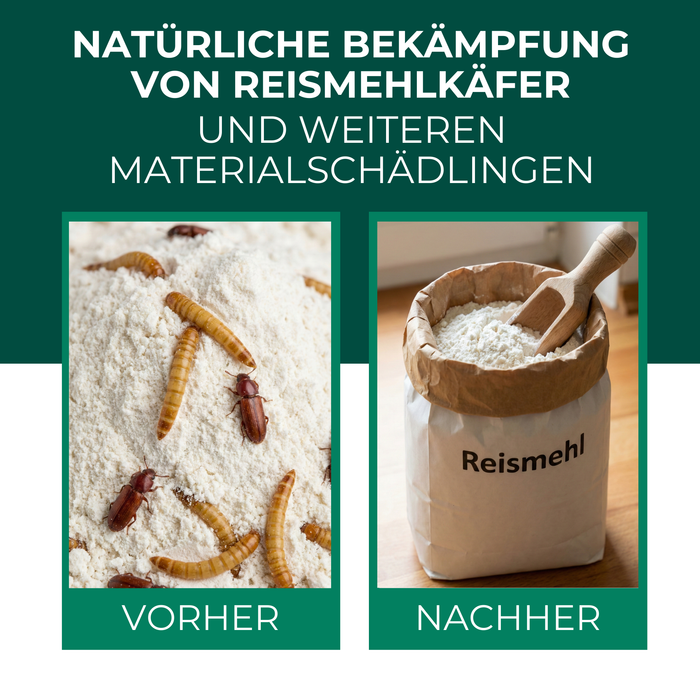 Silberkraft Lagerpiraten gegen Reismehlkäfer Produktbild