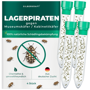 Silberkraft Lagerpiraten gegen Museumskäfer und Kabinettkäfer – natürliche Nützlinge zur chemiefreien Bekämpfung von Museumskäfern im Haushalt, aus deutscher Zucht, 4 x30 Lagerpiraten pro Röhrchen