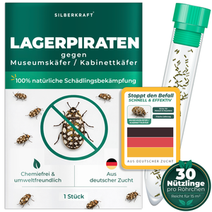 Silberkraft Lagerpiraten gegen Museumskäfer und Kabinettkäfer – natürliche Nützlinge zur chemiefreien Bekämpfung von Museumskäfern im Haushalt, aus deutscher Zucht,  30 Lagerpiraten pro Röhrchen