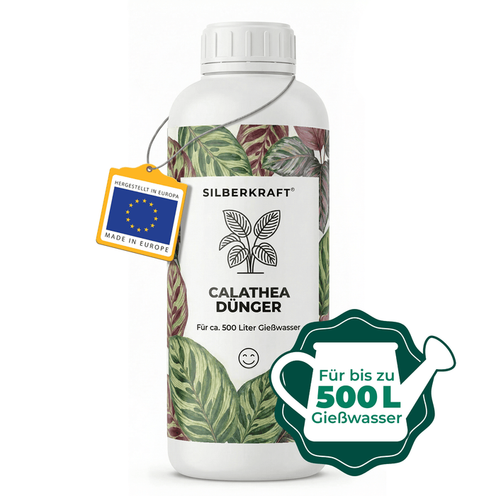 Calathea-Dünger - Silberkraft