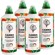 Cannadünger – Mineralischer NPK Flüssigdünger mit Stickstoff – Dünger für Canna (Blumenrohr) – Exoten- & Gartenpflanzen-Dünger