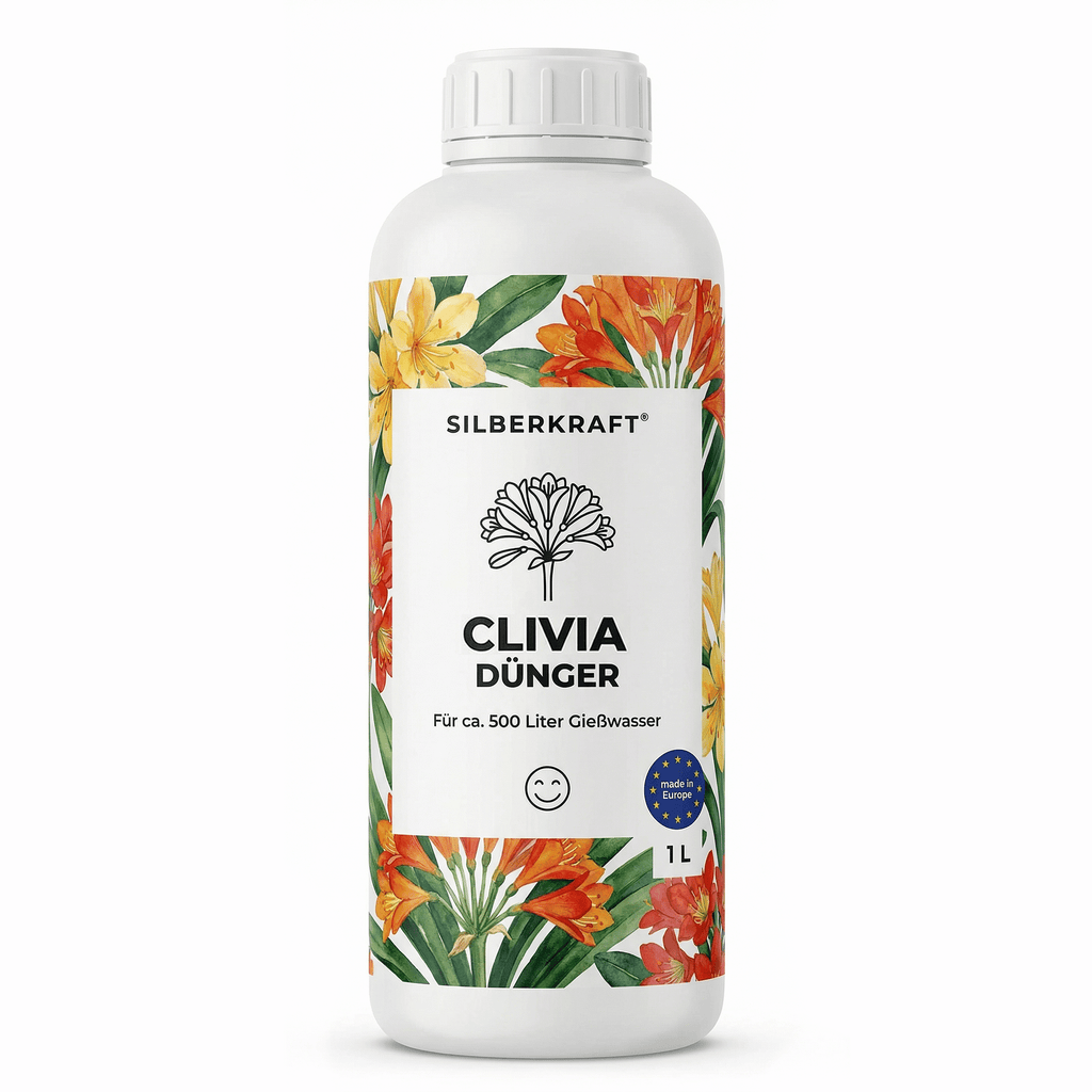 clivie düngen Clivia-Dünger — Silberkraft