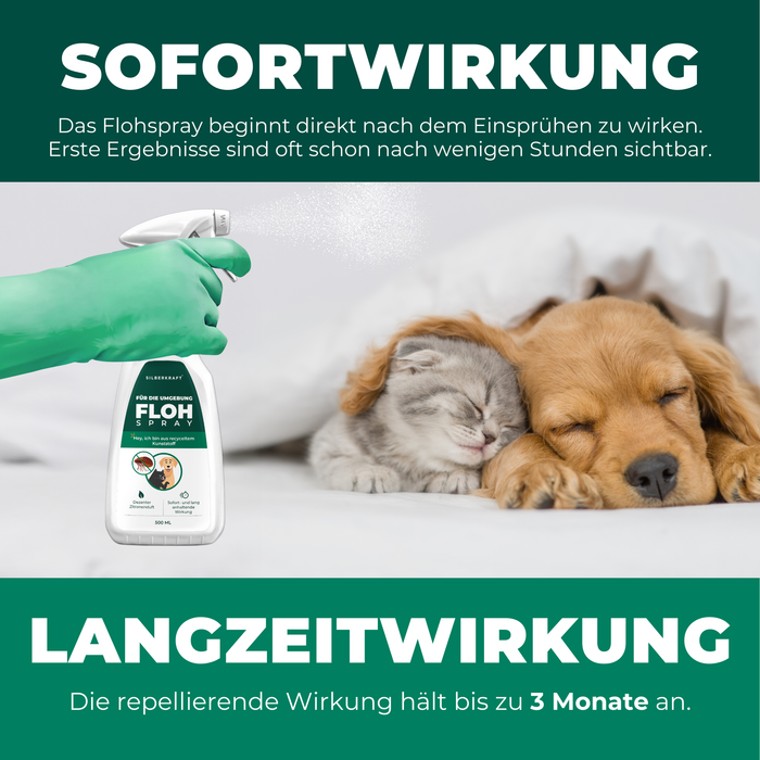 Silberkraft_Flohspray_Sofort_Langzeitwirkung