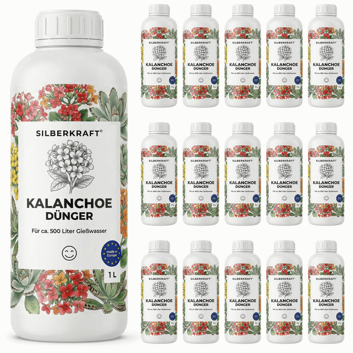 Kalanchoe-Dünger - Silberkraft