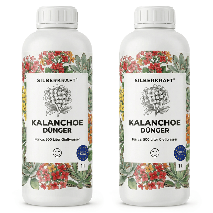 Kalanchoe-Dünger - Silberkraft