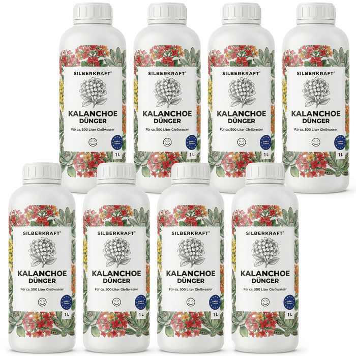 Kalanchoe-Dünger - Silberkraft