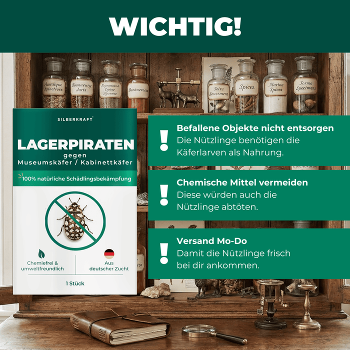 Silberkraft Lagerpiraten gegen Museumskäfer Kabinettkäfer Produktbilder