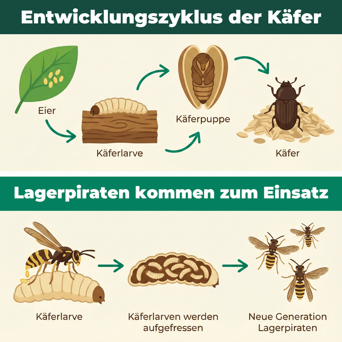 Silberkraft Lagerpiraten gegen Reismehlkäfer Produktbilder