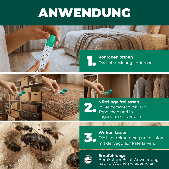 Silberkraft Lagerpiraten gegen Wollkrautbltenkfer Produkt Bilder