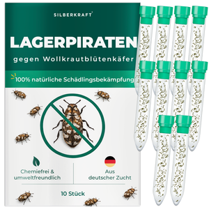 Silberkraft Lagerpiraten gegen Wollkrautblütenkäfer – natürliche Nützlinge zur Bekämpfung von Wollkrautblütenkäfern im Haushalt, chemiefrei, aus deutscher Zucht, 10 x 30 Lagerpiraten pro Röhrchen