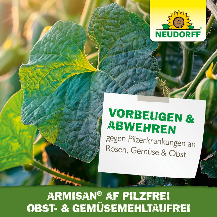 Neudorff Armisan AF PilzFrei Obst- und Gemüse MehltauFrei - Silberkraft