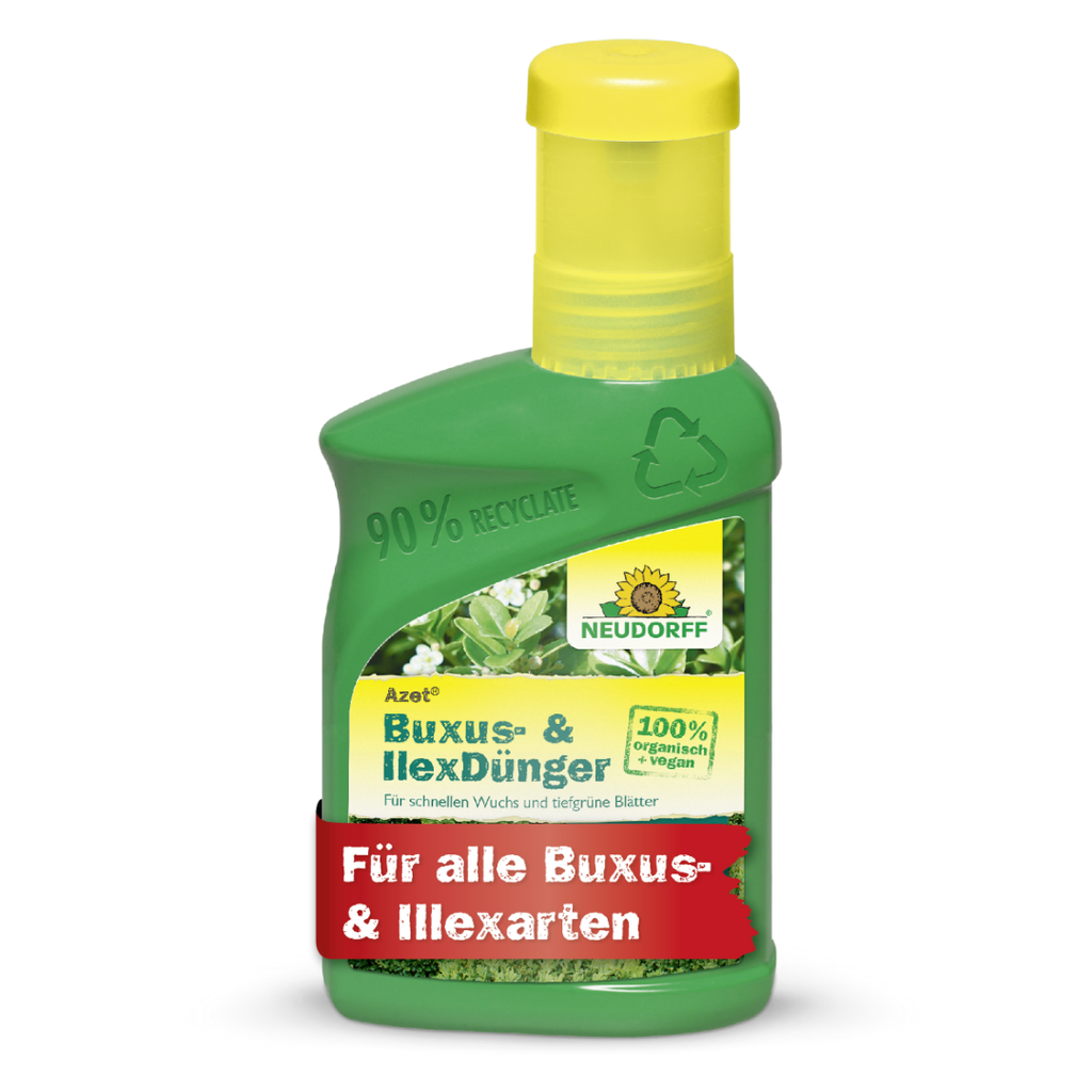 wann ilex düngen Neudorff Azet Buxus- & Ilex Dünger — Silberkraft