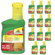 Neudorff Azet Buxus- & Ilex Dünger