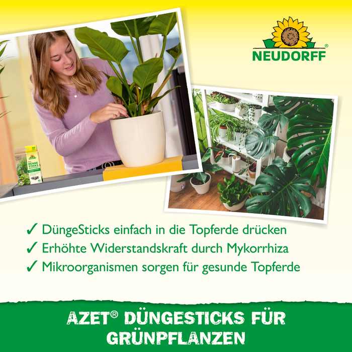 Neudorff Azet DüngeSticks für Grünpflanzen - Silberkraft