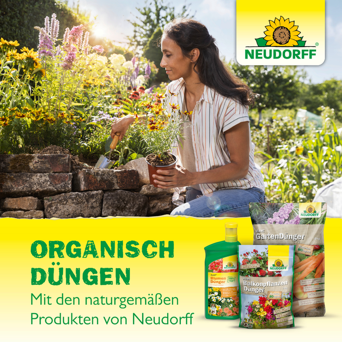 Neudorff Azet DüngeSticks für Grünpflanzen - Silberkraft