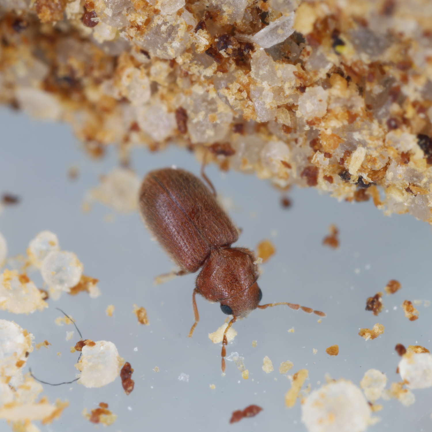 Weitere Informationen