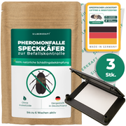 Pheromonfalle Speckkäfer