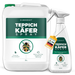 Teppichkäfer Spray - Teppichkäfer vertreiben & loswerden - Silberkraft