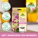 Neudorff Azet DüngeSticks für Orchideen - Silberkraft
