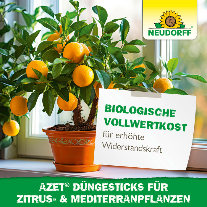 Neudorff Azet DüngeSticks für Zitrus- und Mediterranpflanzen