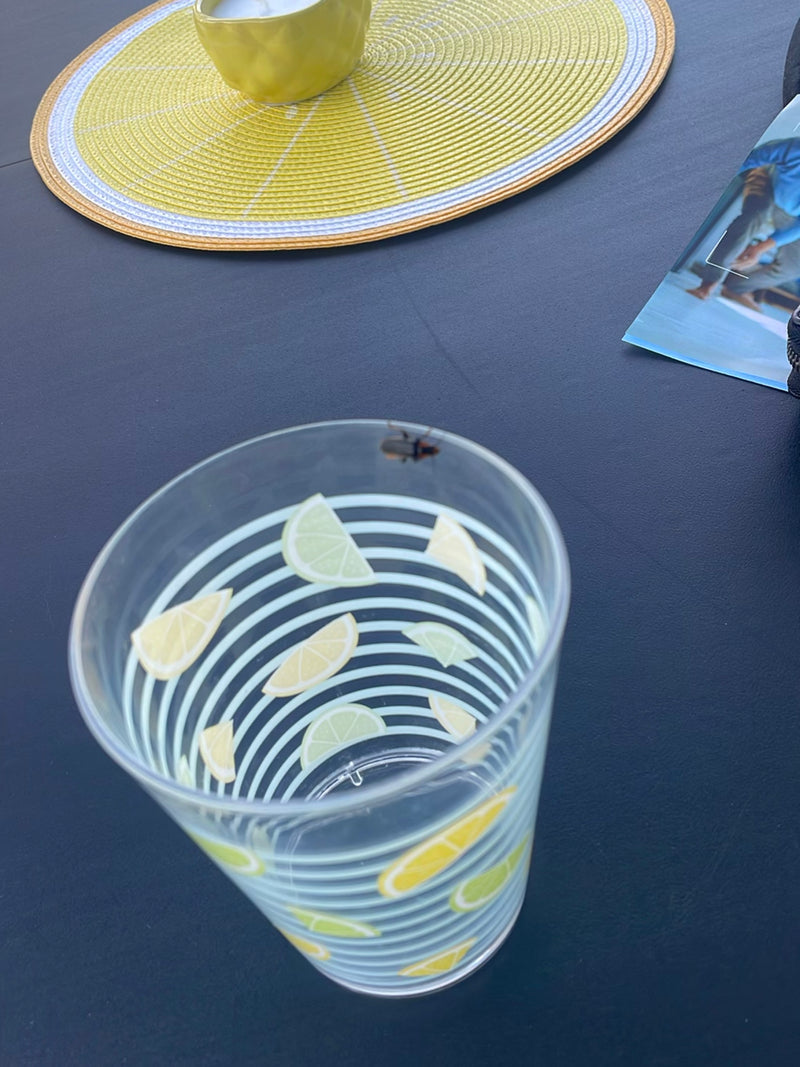 Gemeiner Speckkäfer — Bild 3