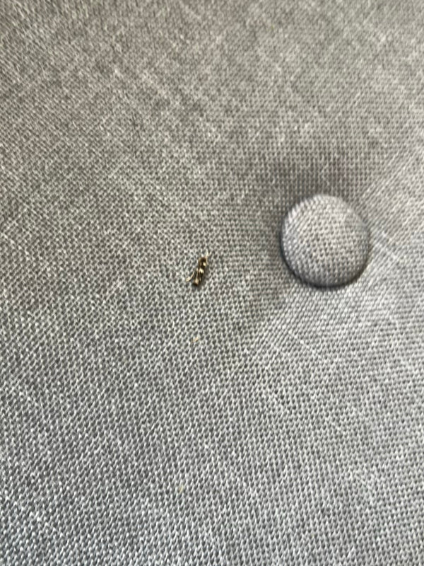 Auf einem grauen Polsterstoff sitzt eine kleine Larve eines Speckkäfers.