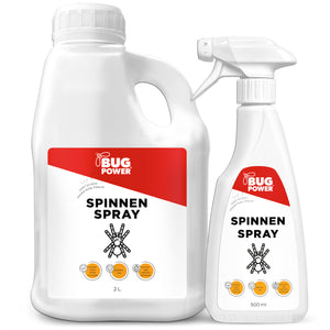 BugPower Spinnen Spray - effektiv gegen Spinnen - Silberkraft