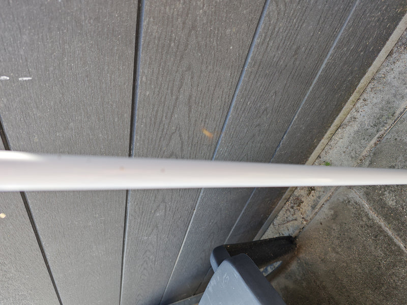 Streckerspinne — Bild 2