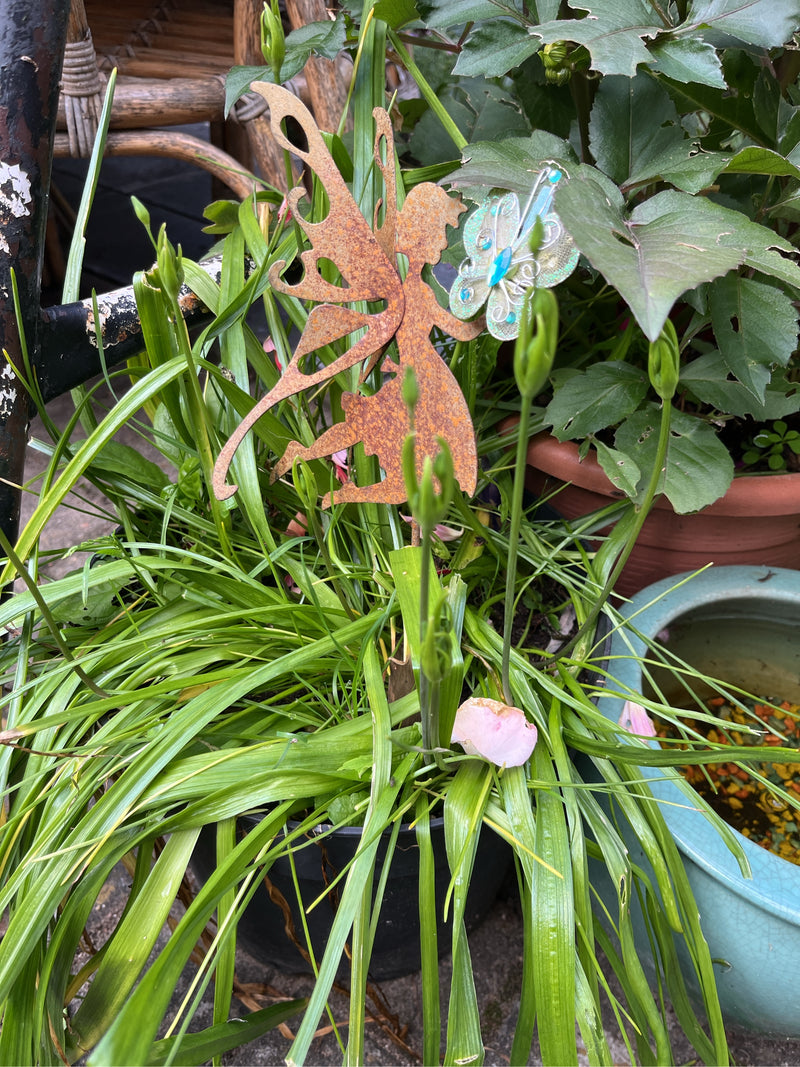 Taglilien — Bild 1